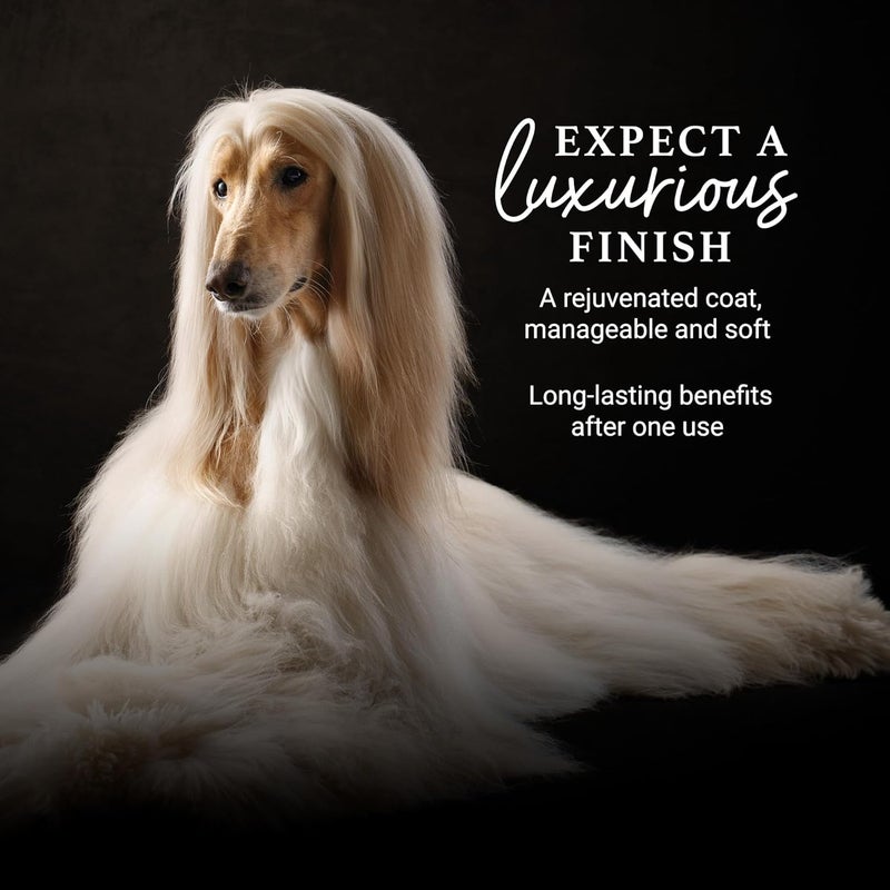 iGroom Deshedding & Detangling Dog Conditioner, Luxury Pet Beauty Care, Loosen Tangles + Unwanted Undercoat, Adds Shine + Volume, Made in USA (1 GAL) - Image 4